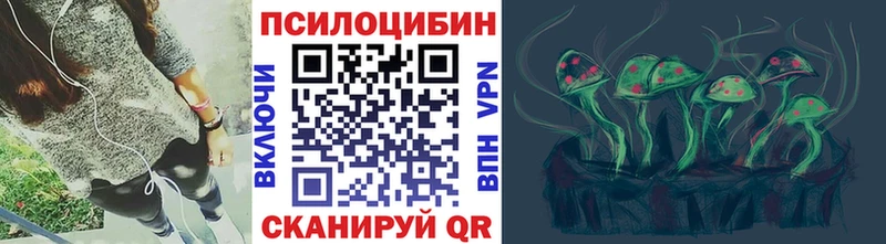 кракен как войти  Неман  Галлюциногенные грибы прущие грибы 