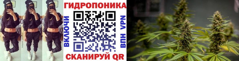 Канабис план  Неман 
